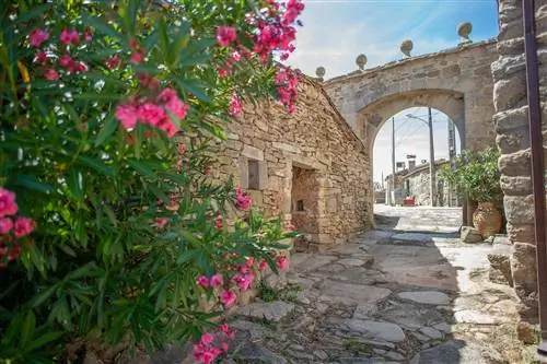 Улица Формариз Самора Улица Формариз Самора