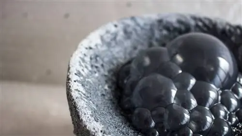 Путешествие объекта: шипучее чудо в Милане