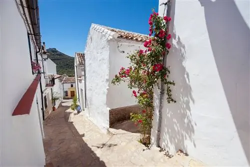 Улицы Вильялуэнга-дель-Росарио