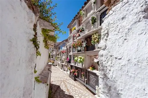 Один из коридоров кладбища Вильялуэнга-дель-Росарио-Кдис