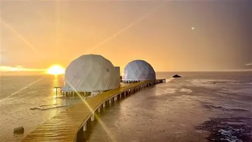 Пантанелли