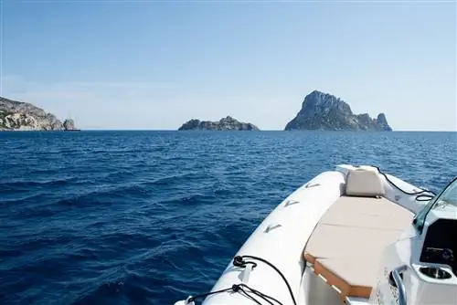 Лодка Петунии Ибица