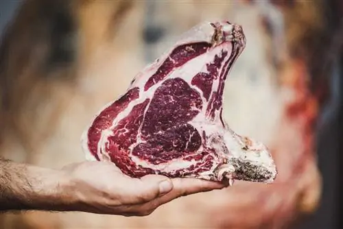 Фогар-ду-Сантисо