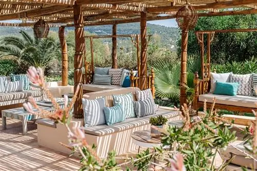 Петуния Ибица