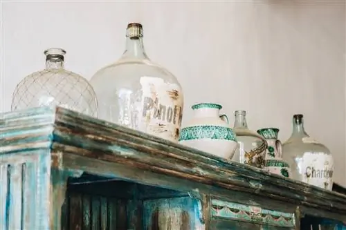 Петуния Ибица