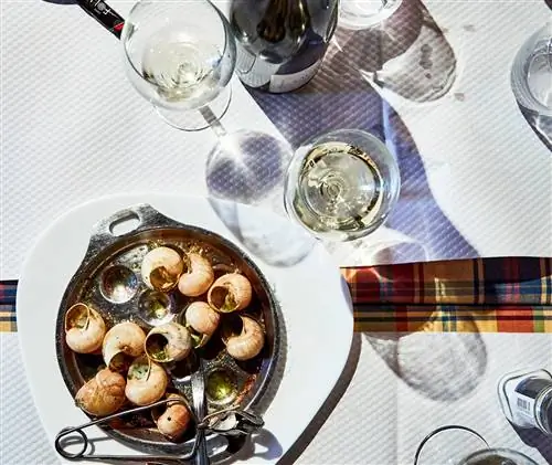 Бургундия в ее винах и традиционных блюдах