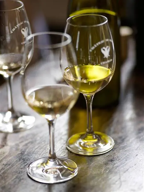 Бургундия в ее винах и традиционных блюдах