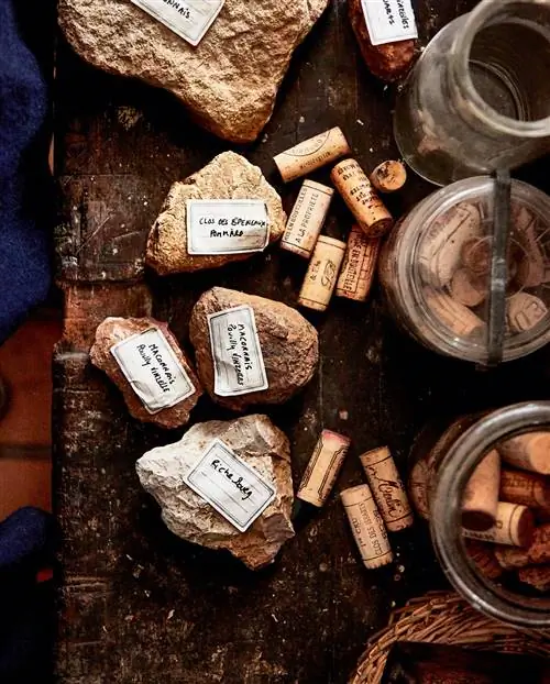 В доме WassermanHone камни обозначают каждое свойство