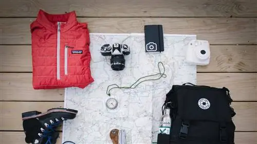 Фото Элис Донован Роуз на Unsplash.