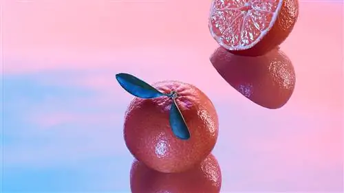 Наши любимые ароматы этого лета