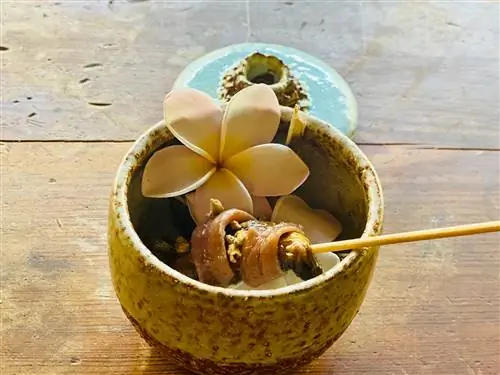 Домашние соленые анчоусы, маринованные красные бананы на углях DCuac Charcutería Marina Tenerife