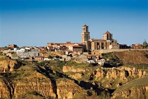 Визуал Торо Заморы.