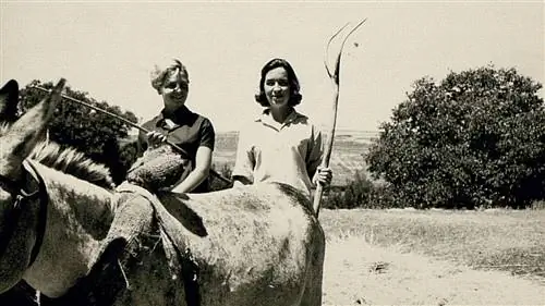 Лучшие литературные маршруты по Испании: страна, которая всегда была музой