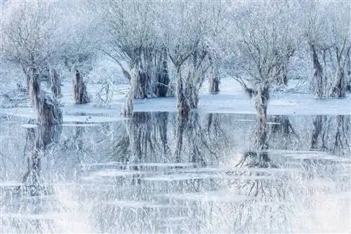 'Ледяное озеро'