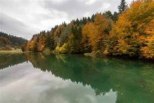 Один из уголков водохранилища Ирабия в лесу Ирати.