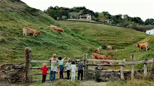 6 семей планируют провести осень в Наварре