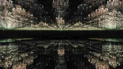 Очаровательная земля Infinity Rooms Яёи Кусамы в Лондоне
