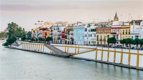 Семь различных предложений, чтобы открыть для себя столицу Севильи