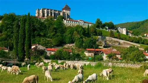 Верхняя Гаронна: идеальный семейный отдых во французских Пиренеях
