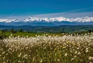 Достаточно пересечь северную границу нашей страны, чтобы оказаться во французском регионе Верхняя Гаронна, где вас ждет…