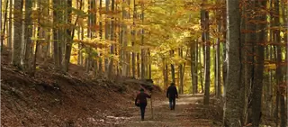 90% поверхности Ла-Риохи занимают сельские районы. 164 из 174 муниципалитетов имеют население менее 5000 жителей…