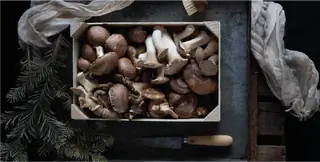 Качество, наследие, традиции и инновации - вот ценности гастрономии Риохи. Кухня всегда традиционная и…