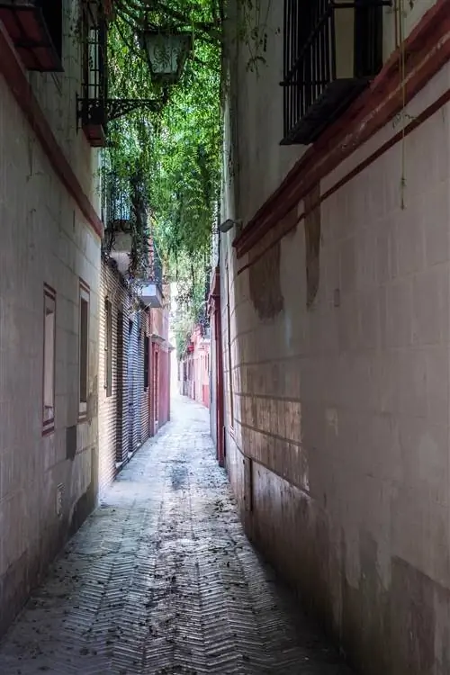 Севилья Зеленая улица.