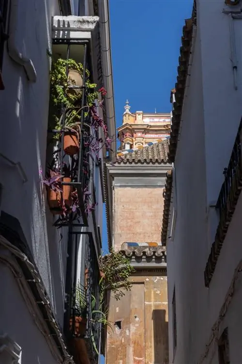 Приход Сан-Бартоломе.