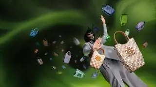 Ручная кладь Лучше приобретите эти идеальные сумки для ношения как внутри, так и снаружи чемодана.