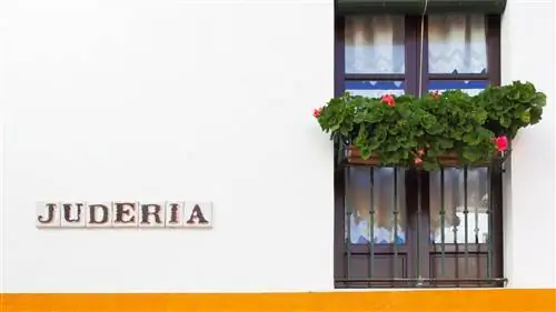 Mercules - один из тех проектов, которые умеют топать уже много лет. Мерседес Гальего является его основателем и…