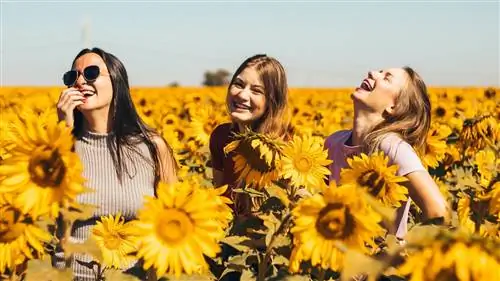 Желтый день: сегодня самый счастливый день в году и мы расскажем почему