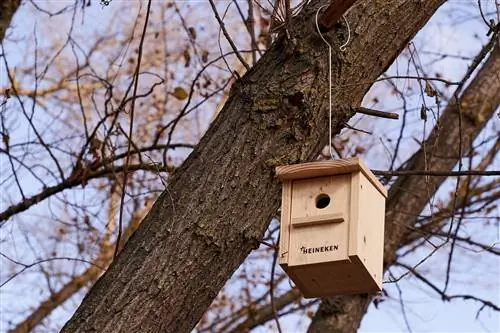 В рамках проекта также были установлены скворечники.
