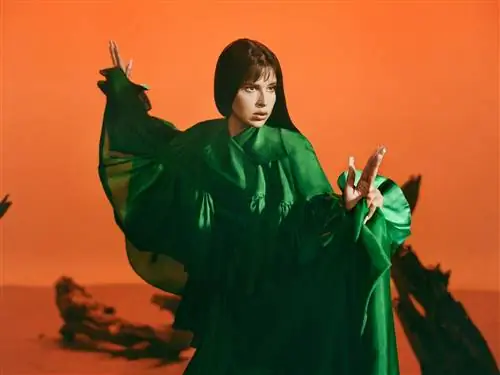 Одна из работ, полученных в Carmencita Film Lab.