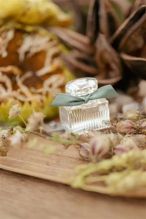 Chloé Parfums и Domaine de Primard