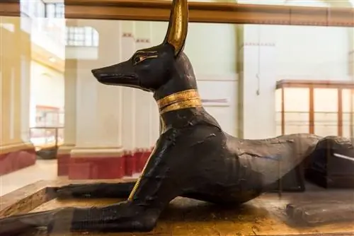 Статуя Анубиса, гробница Тутанхамона.