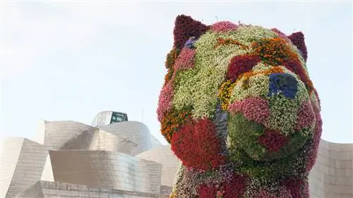 Щенок и другие собаки, которых мы встретили в наших путешествиях