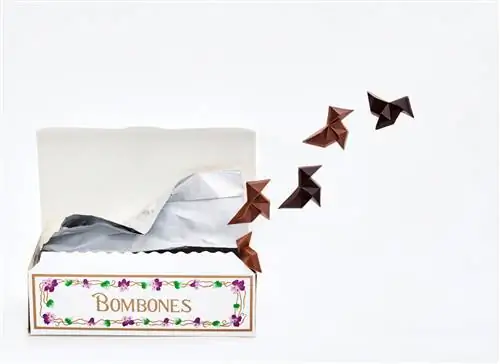 Шоколадные галстуки-бабочки.