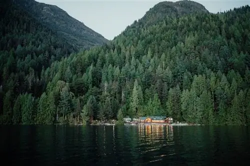 На изображении может находиться дерево растение ель пихта вода хвойное дерево на улице природа и сосна