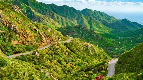 Анага, сказочный лес