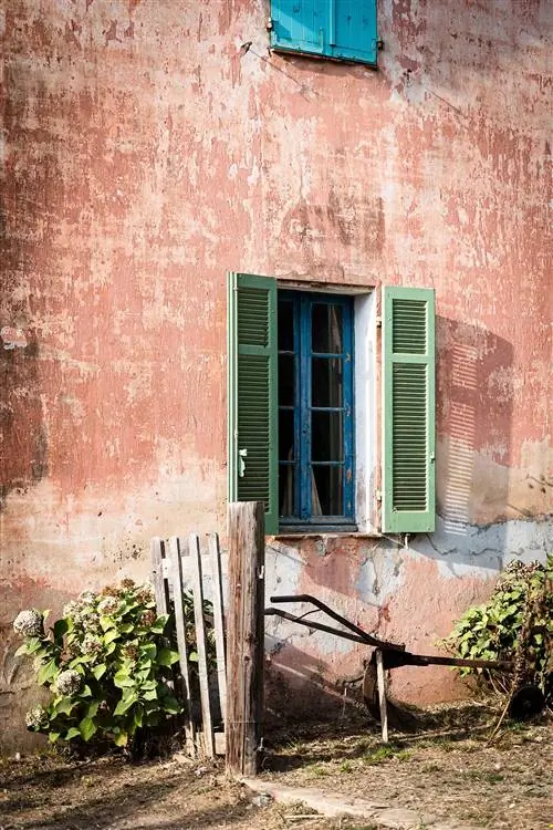 Domaine de Ille - новая винодельня Chanel в Поркероль.