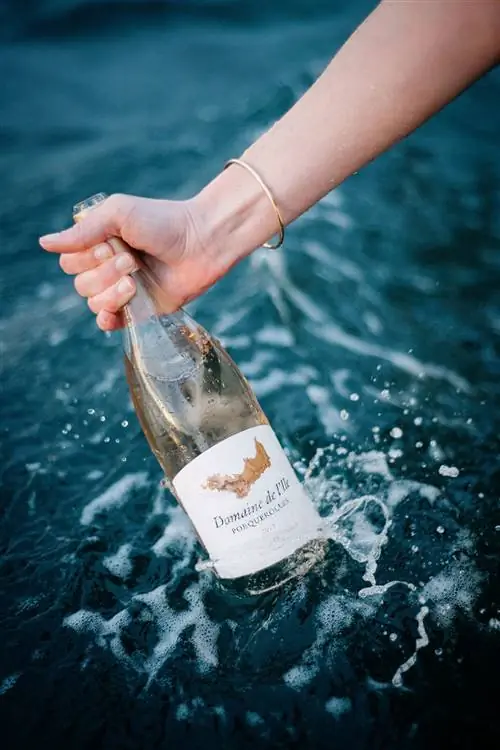 Бутылка вина Domaine de I'lle классического провансальского розового цвета.