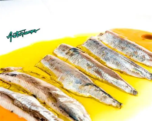 Астурийская служба доставки сардин