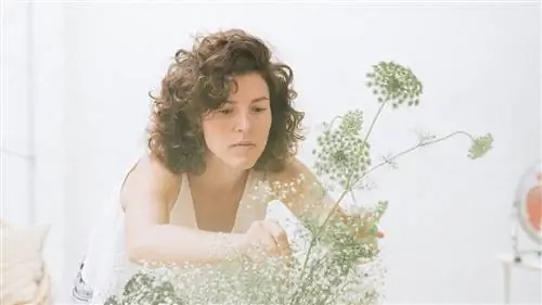 Кокон: цветочное путешествие по архитектуре