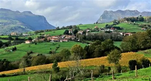 Панорама Биньеса