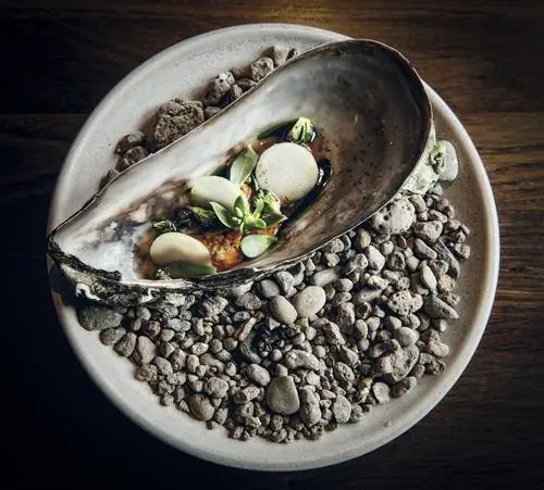 Одно из 18 блюд, составляющих меню «Кокса».