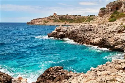 Сельваджио Порту