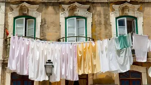 Изображения из коллекции Só Alegria в Касабланке.