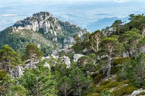 Природный парк Эльс-Портс