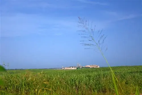 Исторический центр Рона Барсело
