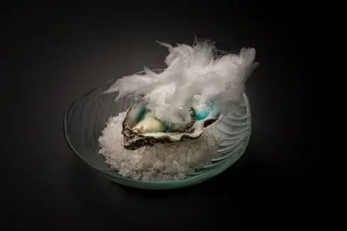 Устрица в анисовой морской воде и сахарной вате в Janis
